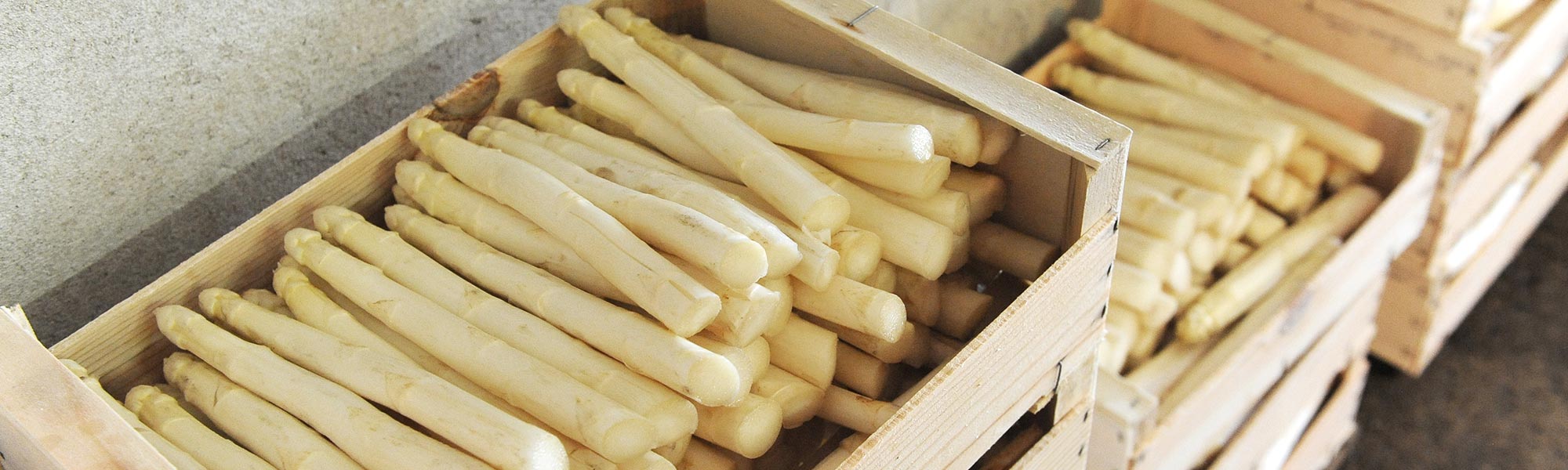 asperges-1
