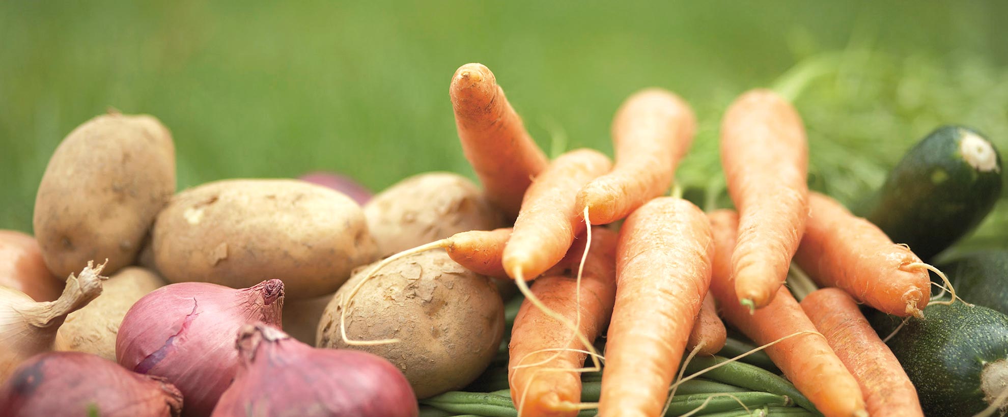 slider-panier-st-savin